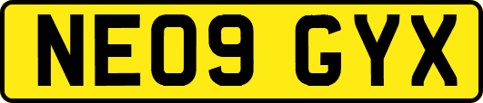 NE09GYX