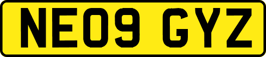 NE09GYZ