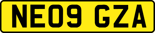 NE09GZA