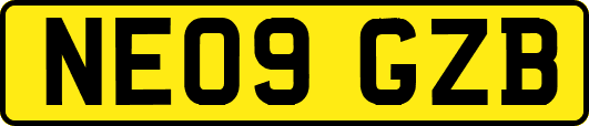 NE09GZB