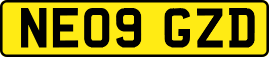 NE09GZD