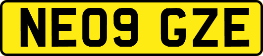 NE09GZE