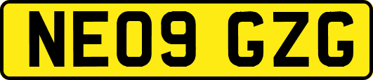 NE09GZG