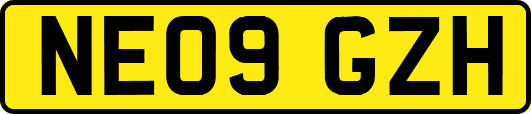NE09GZH