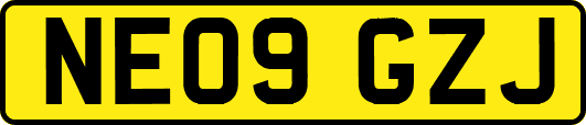 NE09GZJ