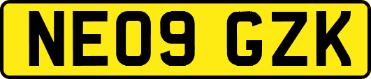 NE09GZK