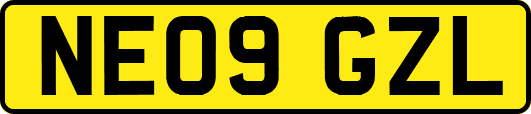 NE09GZL