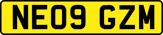 NE09GZM