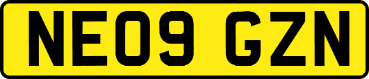 NE09GZN