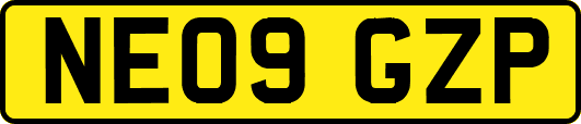 NE09GZP