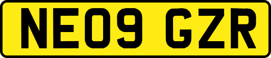 NE09GZR