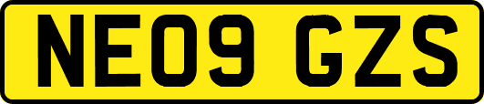 NE09GZS