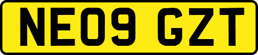 NE09GZT