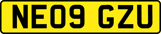 NE09GZU