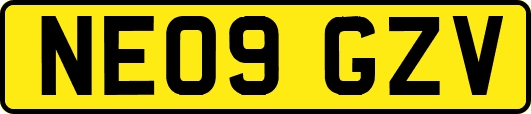 NE09GZV