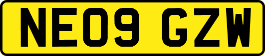 NE09GZW