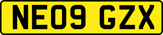 NE09GZX