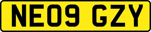 NE09GZY