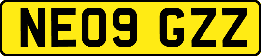 NE09GZZ