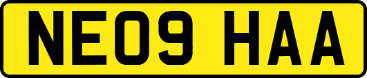 NE09HAA