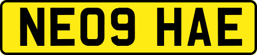 NE09HAE