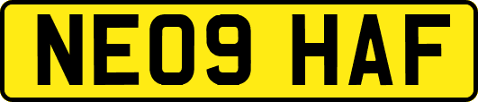 NE09HAF
