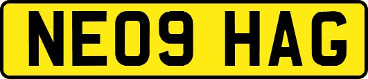 NE09HAG