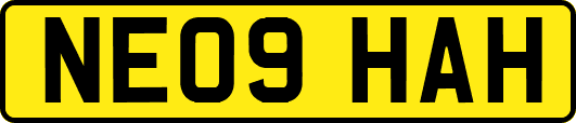 NE09HAH