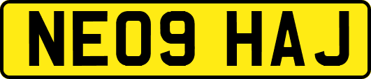 NE09HAJ