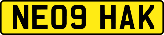 NE09HAK