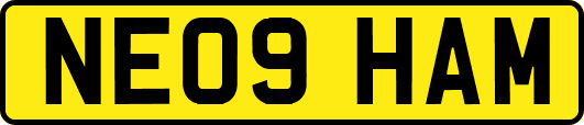 NE09HAM