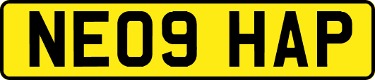 NE09HAP