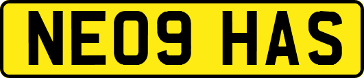 NE09HAS