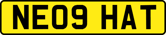 NE09HAT
