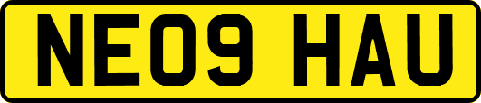NE09HAU