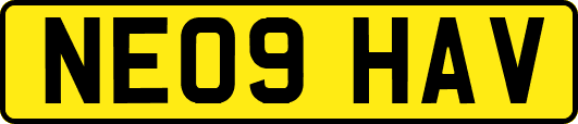 NE09HAV