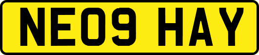 NE09HAY