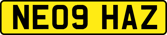 NE09HAZ