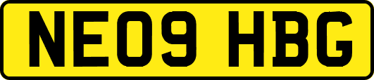 NE09HBG