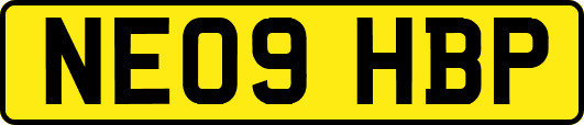 NE09HBP