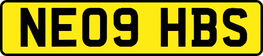 NE09HBS