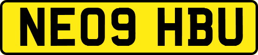 NE09HBU