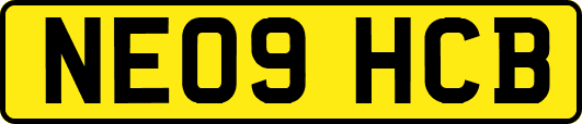 NE09HCB