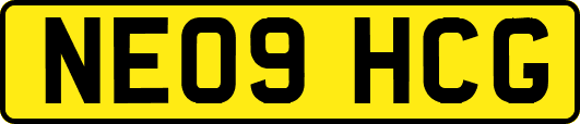 NE09HCG