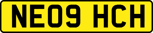NE09HCH