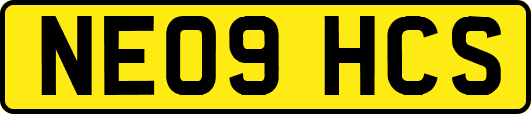 NE09HCS