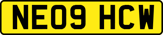 NE09HCW