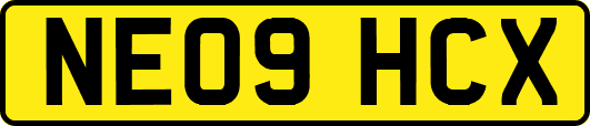 NE09HCX