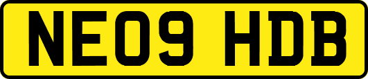 NE09HDB