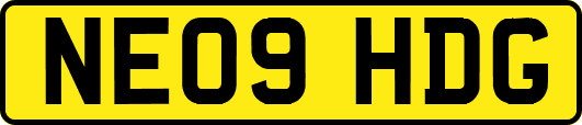 NE09HDG